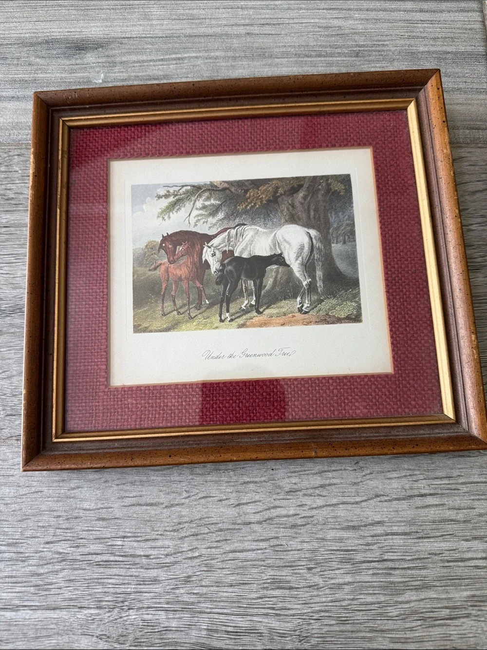 Framed Horse Print with Burgundy Mat and Wood Frame